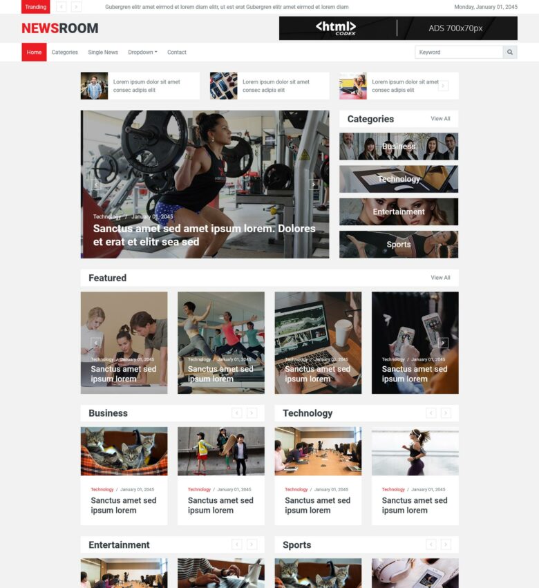 NEWSROOM Free Bootstrap Template